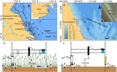 Erosion and accretion of salt marsh in extremely shallow water stages